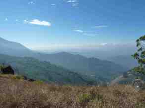 Aview from the Munnar hills