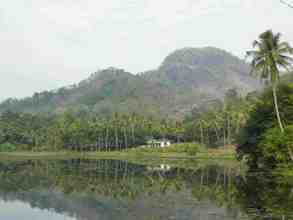 view of Thattekad lake
